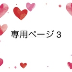 専用ページ