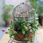 鳥籠の秋のお花・ギャザリング寄せ植え