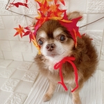紅葉🍁のヘッドドレス