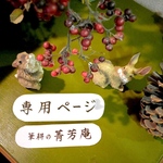 hy0109様  追加専用ページです（他の方はご購入できませんのでご注意下さい）