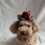 赤いりんご🍎のカチューシャ