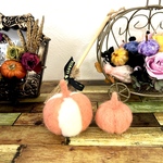 🧡ふわふわミニカボチャ🎃