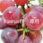 Ranrun様専用
