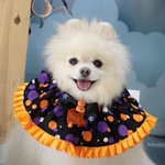 ハロウィン🎃ぐるっと簡単ケープ🖤