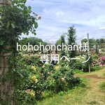 hohohonchan様専用ページ