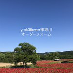 お客様専用のオーダーフォームです✨