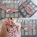 イタグレ　イタグレの服　イタグレ服