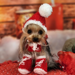 赤い帽子🎅フォトitem