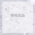 専用出品