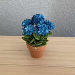 秋色の紫陽花