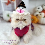 🍬👻ハロウィンおばけミニハット👻🍬　ペット　帽子　