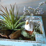 アヒルの箱庭