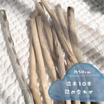 【送料無料】流木10本セット🌿50cm前後　流木