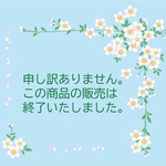 ミニチュア盆栽〈紅葉〉