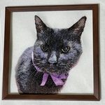 オーダーメイドの「うちの子達（猫）」の刺繍（フルカラー）背景なし