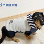 犬服【あったかパーカー❄️グレー✖️ネイビー】