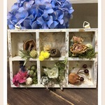 シャビーlittle box