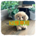 【Reserved】テディドッグ【k2様専用】