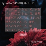 ayunatan529様専用ページ