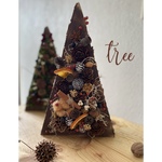 木の実のクリスマスツリー🎄.*