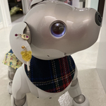 aiboちゃんのウールスタイ　aibo's bib 赤のタータンチェック　片面仕様(裏ガーゼ)