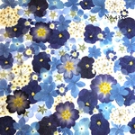 ♡new♡作家様必見♡押し花MIXセット♡押し花セット