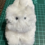 専用ページ