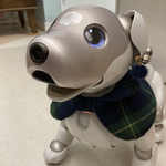 aiboちゃんの襟付きウールケープ　aibo's bib ネイビーのタータンチェック　片面仕様