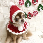 犬 小人帽子 サンタクロース