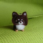 オーダー品  チワワ チョコタン 羊毛フェルト 