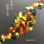 【再販2】もみじといちょうの紅葉セット150枚