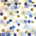 ♡new♡作家様必見♡押し花MIXセット♡押し花セット