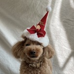 おっきなふわふわクリスマスサンタ帽子🎅(中サイズ赤)シャープ