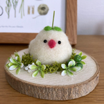 羊毛フェルト♡豆苗を乗せた白文鳥♡木製オブジェ
