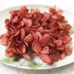 ＊ただ今割引中＊　ピラミッド紫陽花　あじさい　アジサイ　プリザーブド　カシスワイン