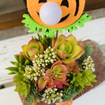 1点限り！多肉寄せ植え 火祭り ハロウィン