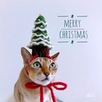 クリスマスツリー帽子🎄