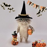 no.247 ハロウィンを楽しみたい猫さん