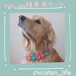 ⭐︎ xuc_ux様専用カート⭐︎他の方のご購入はお控えください