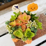 1点限り！多肉寄せ植え  火祭り ハロウィン