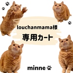 専用カート