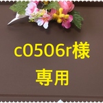 ⭐︎c0506r 様専用⭐︎シートベルトカバー
