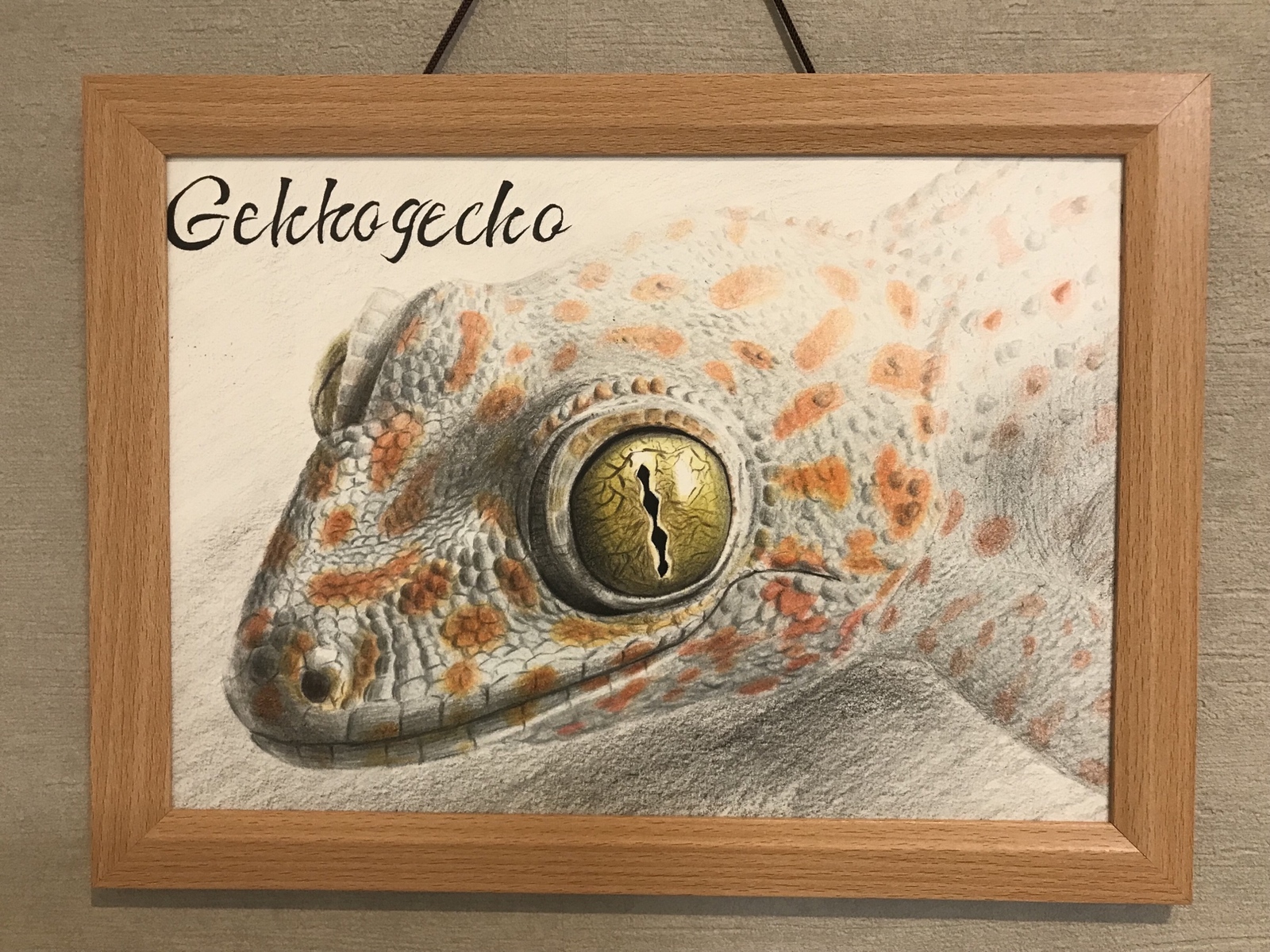 トッケイヤモリ　アクリル画　ゲッコー　爬虫類　アート　水彩画　顔彩画 トッケイヤモリ アクリル画 ゲッコー 爬虫類 アート 水彩画 顔彩