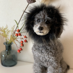 犬さん　猫さん用　ライオンファー　コスプレ