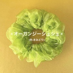 【シュシュ】オーガンジーシュシュ(きみどり)
