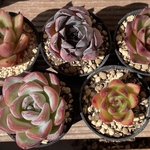 お得な♡３点セット♡　