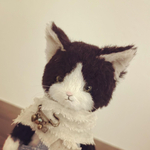 猫さん