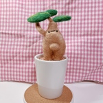植物ちゃん　ガジュマル