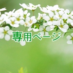 ✨tomotomo100 様　　専用ページ✨