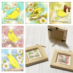 豆額　セキセイインコ